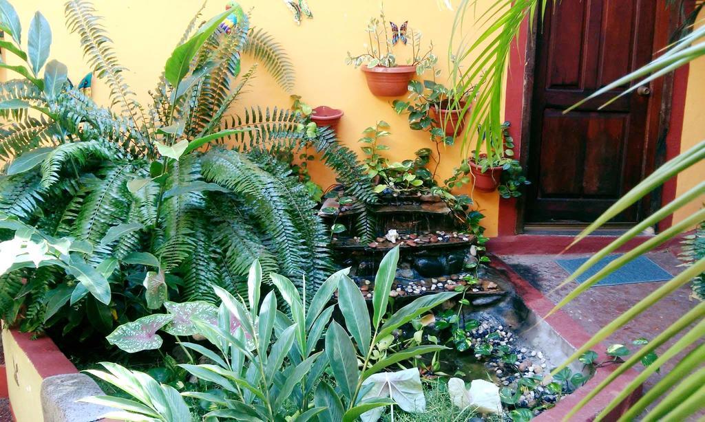 Hotel La Cabana Puerto Ángel المظهر الخارجي الصورة