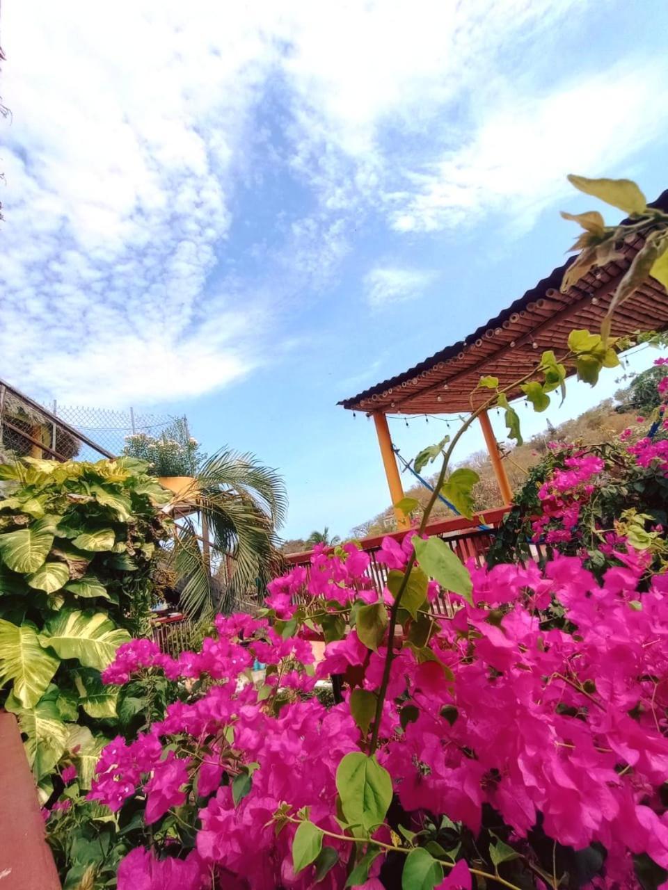 Hotel La Cabana Puerto Ángel المظهر الخارجي الصورة